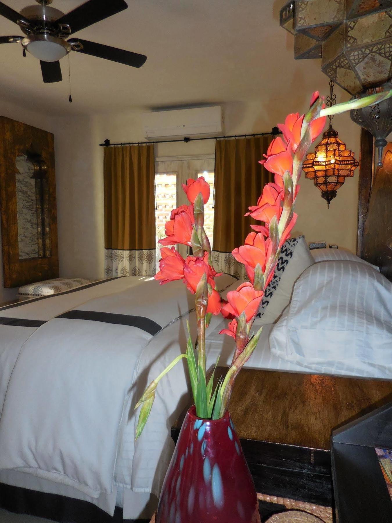 The Suites By Villa Valentina San Jose del Cabo Bagian luar foto
